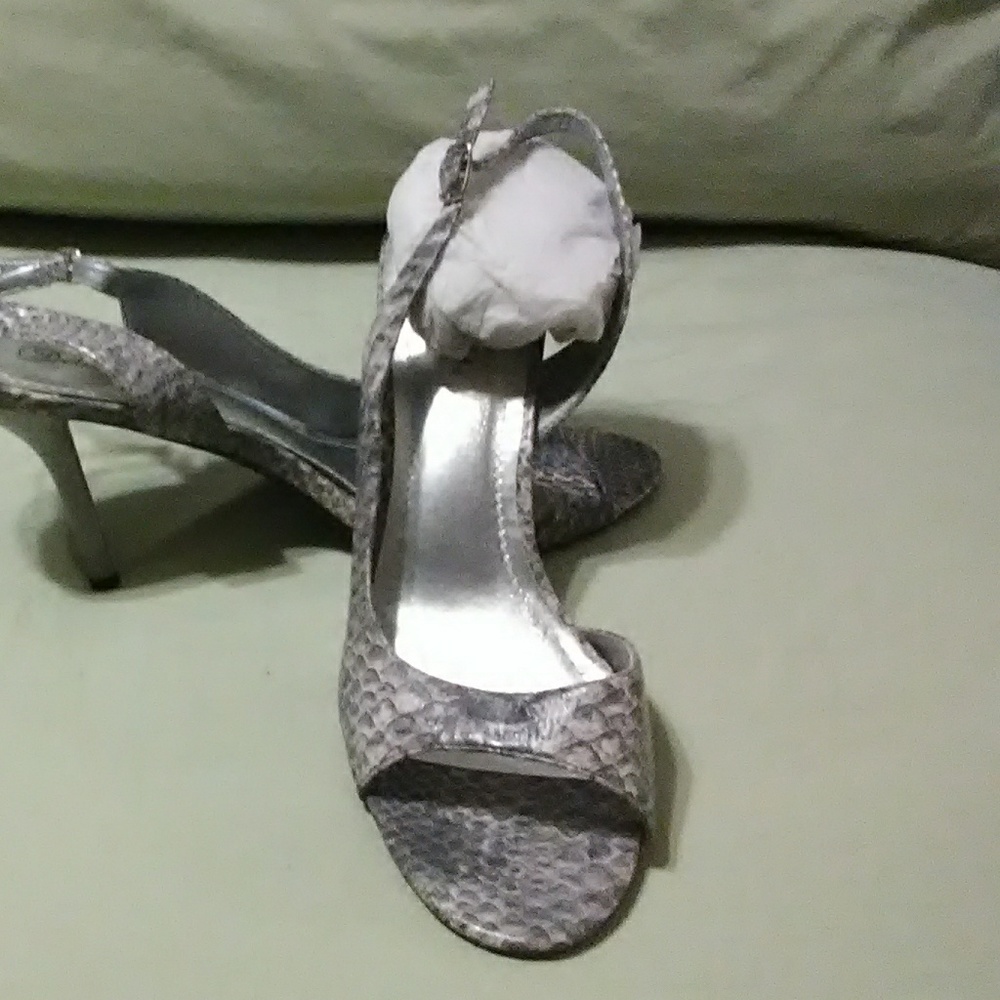 Grey python - Picture 3 of 4